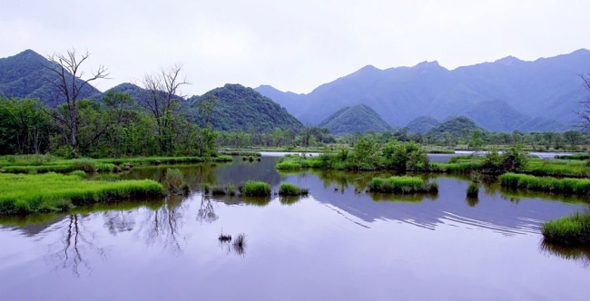 神农架大九湖